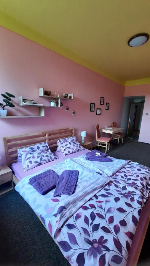 Penzion U Statku Lodherov Bagian luar foto