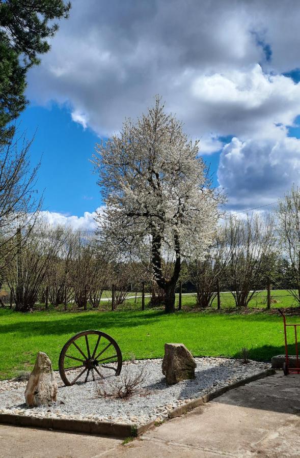 Penzion U Statku Lodherov Bagian luar foto